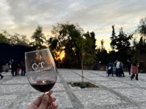 Vista do pôr do sol através de uma taça Concha Y Toro